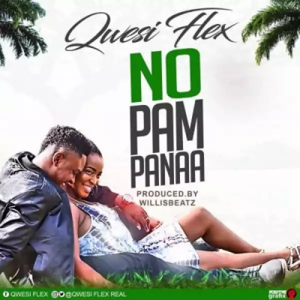 Qwesi Flex - No Pampanaa